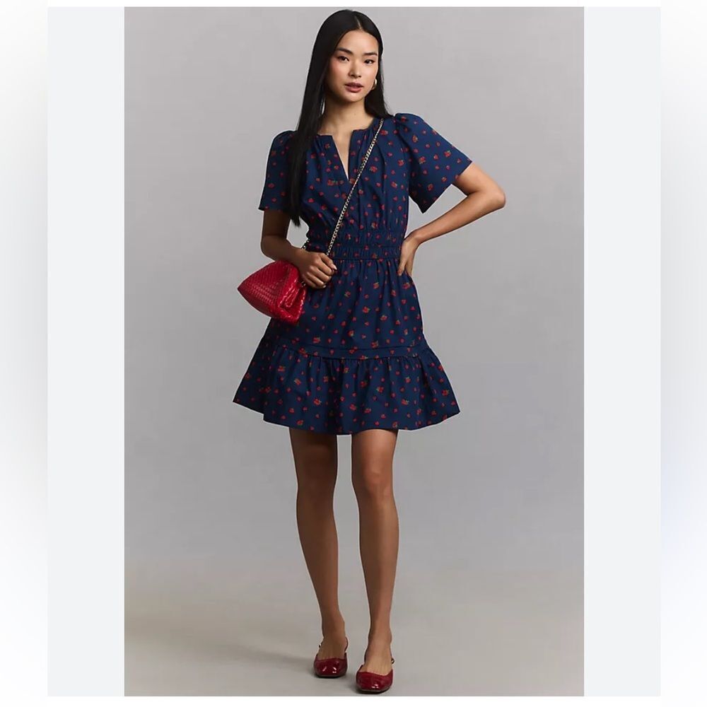 The Somerset Mini Dress size Small